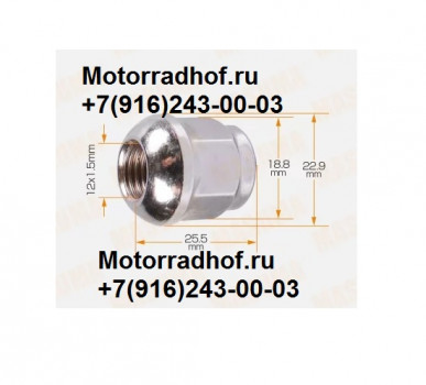 Гайка колеса Honda GL1800DA GOLD WING неоригинал (арт. 90304SA5013He)аналог 90307ML0730, 90307-ML0-730 Гайка колеса Honda GL1800DA GOLD WING неоригинал (арт. 90304SA5013He)аналог 90307ML0730, 90307-ML0-730